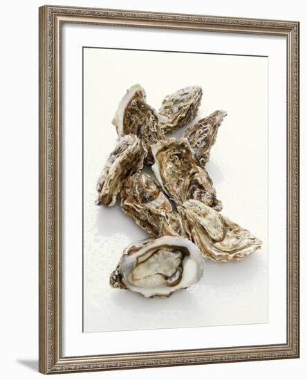 Fresh Oysters with Drops of Water-Kröger & Gross-Framed Photographic Print