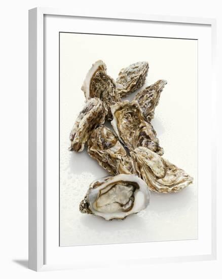 Fresh Oysters with Drops of Water-Kröger & Gross-Framed Photographic Print