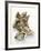 Fresh Oysters with Drops of Water-Kröger & Gross-Framed Photographic Print