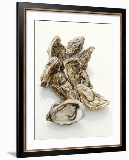 Fresh Oysters with Drops of Water-Kröger & Gross-Framed Photographic Print