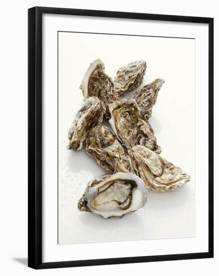 Fresh Oysters with Drops of Water-Kröger & Gross-Framed Photographic Print