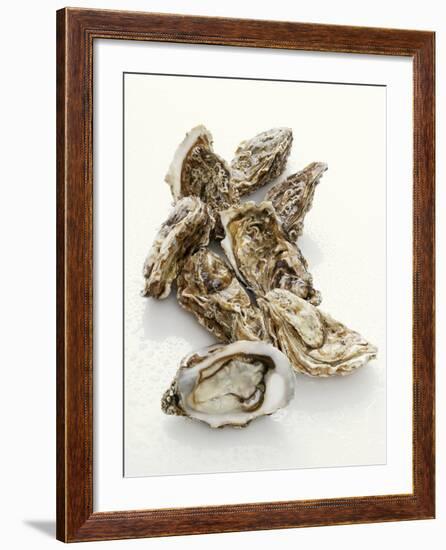 Fresh Oysters with Drops of Water-Kröger & Gross-Framed Photographic Print