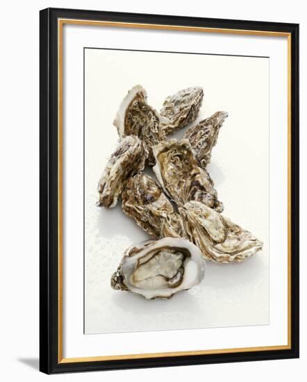 Fresh Oysters with Drops of Water-Kröger & Gross-Framed Photographic Print