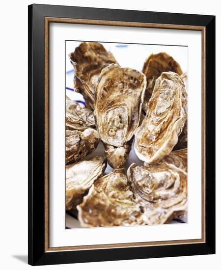 Fresh Oysters-Alain Caste-Framed Photographic Print