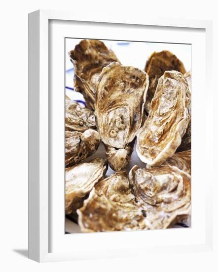 Fresh Oysters-Alain Caste-Framed Photographic Print