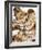 Fresh Oysters-Alain Caste-Framed Photographic Print