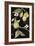 Fresh Pears II-Jennifer Goldberger-Framed Premium Giclee Print