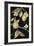 Fresh Pears II-Jennifer Goldberger-Framed Premium Giclee Print