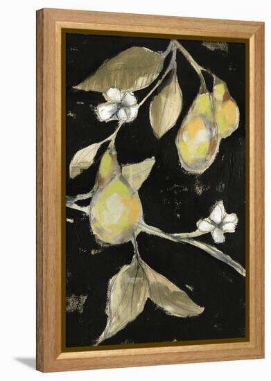 Fresh Pears II-Jennifer Goldberger-Framed Stretched Canvas