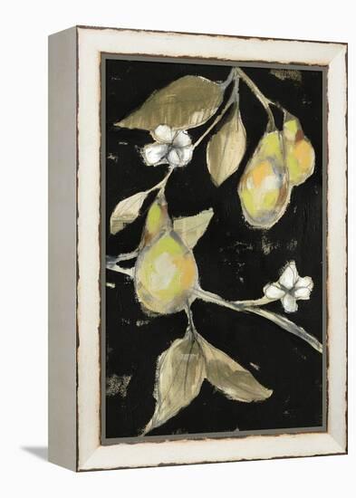 Fresh Pears II-Jennifer Goldberger-Framed Stretched Canvas