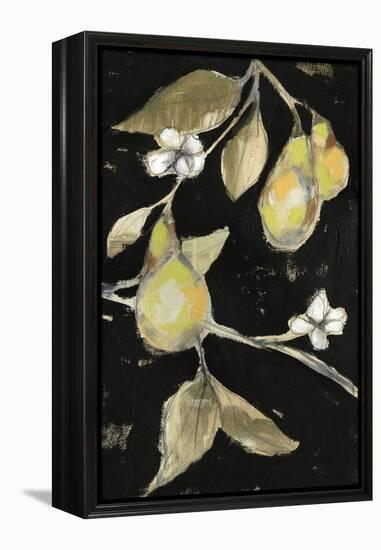 Fresh Pears II-Jennifer Goldberger-Framed Stretched Canvas