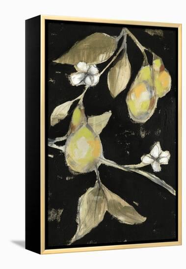 Fresh Pears II-Jennifer Goldberger-Framed Stretched Canvas