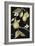 Fresh Pears II-Jennifer Goldberger-Framed Art Print