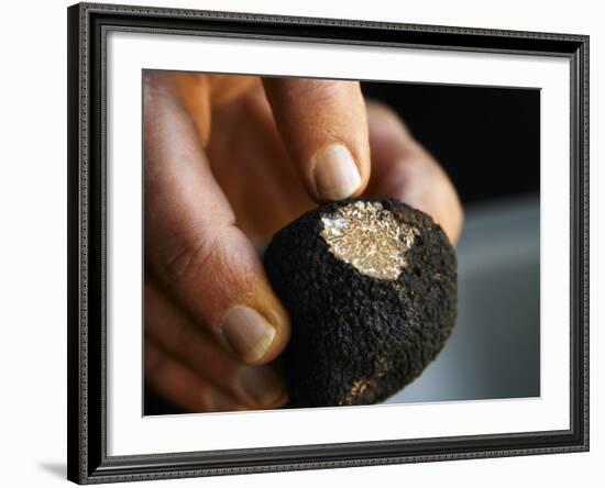 Fresh Perigord Truffle, Truffiere De La Bergerie, Ste Foy De Longas, Dordogne, France-Per Karlsson-Framed Photographic Print