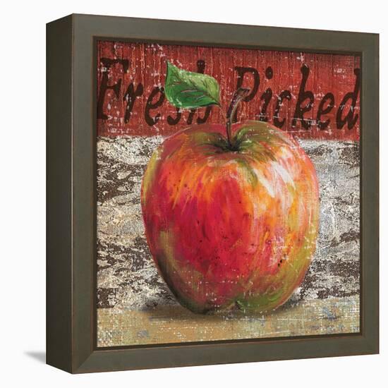 Fresh Picked Apple-Todd Williams-Framed Stretched Canvas