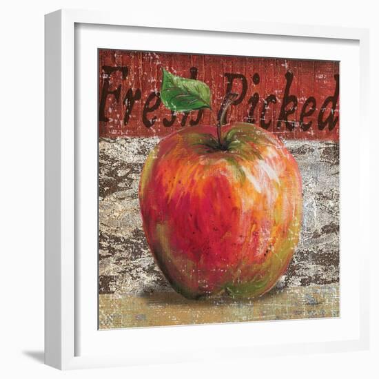 Fresh Picked Apple-Todd Williams-Framed Art Print