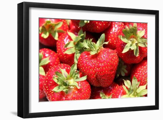 Fresh Picked Strawberries-null-Framed Photo