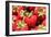 Fresh Picked Strawberries-null-Framed Photo