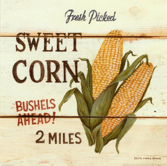 Fresh Picked Sweet Corn-David Carter Brown-Framed Print Mount