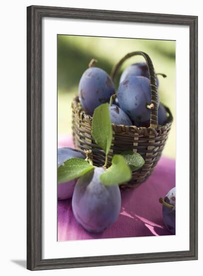 Fresh Plums in a Basket-Eising Studio - Food Photo and Video-Framed Photographic Print