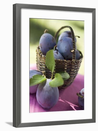 Fresh Plums in a Basket-Eising Studio - Food Photo and Video-Framed Photographic Print