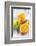 Fresh Pressed Orange Juice and Oranges-Jana Ihle-Framed Photographic Print