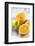 Fresh Pressed Orange Juice and Oranges-Jana Ihle-Framed Photographic Print