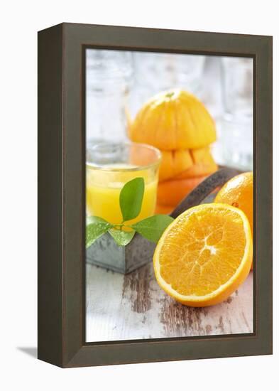 Fresh Pressed Orange Juice and Oranges-Jana Ihle-Framed Premier Image Canvas