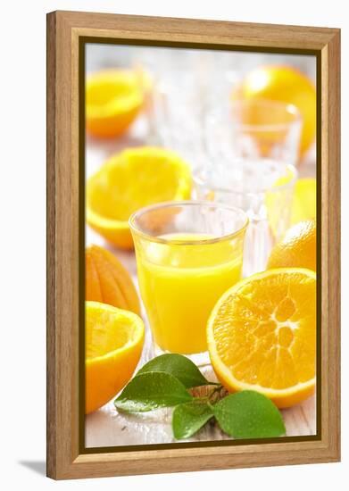 Fresh Pressed Orange Juice and Oranges-Jana Ihle-Framed Premier Image Canvas