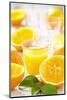 Fresh Pressed Orange Juice and Oranges-Jana Ihle-Mounted Photographic Print