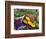 Fresh Produce at the Farmers Market in Whitefish, Montana, USA-Chuck Haney-Framed Photographic Print