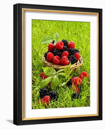 Fresh Raspberries and Blackberries in a Basket-Stuart MacGregor-Framed Photographic Print