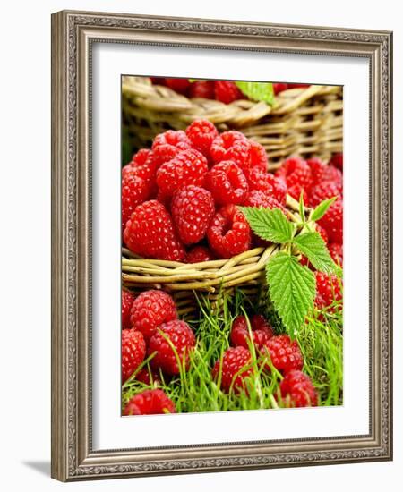 Fresh Raspberries in Two Baskets-Stuart MacGregor-Framed Photographic Print