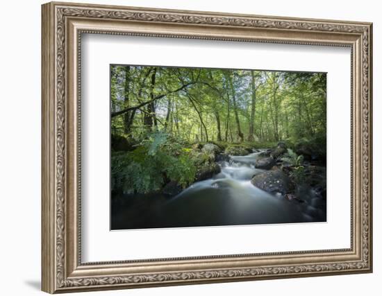 Fresh River-Philippe Manguin-Framed Photographic Print