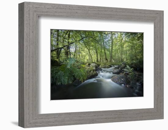 Fresh River-Philippe Manguin-Framed Photographic Print