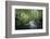 Fresh River-Philippe Manguin-Framed Photographic Print