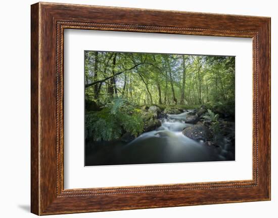 Fresh River-Philippe Manguin-Framed Photographic Print