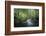 Fresh River-Philippe Manguin-Framed Photographic Print