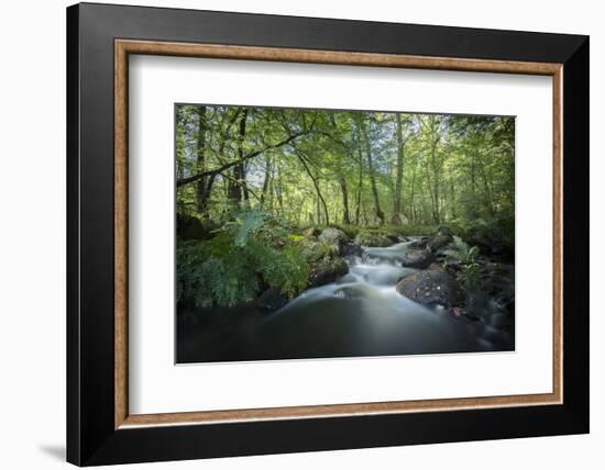 Fresh River-Philippe Manguin-Framed Photographic Print