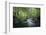 Fresh River-Philippe Manguin-Framed Photographic Print