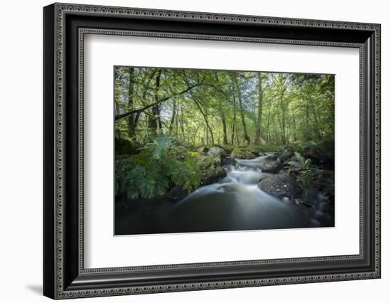 Fresh River-Philippe Manguin-Framed Photographic Print