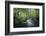 Fresh River-Philippe Manguin-Framed Photographic Print