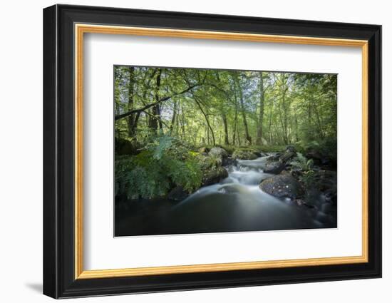 Fresh River-Philippe Manguin-Framed Photographic Print