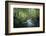 Fresh River-Philippe Manguin-Framed Photographic Print