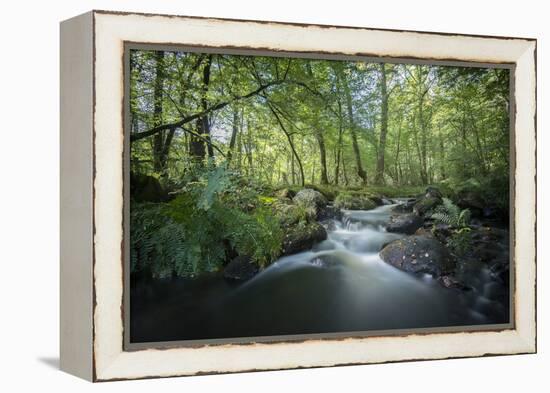 Fresh River-Philippe Manguin-Framed Premier Image Canvas