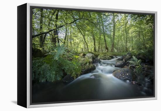 Fresh River-Philippe Manguin-Framed Premier Image Canvas