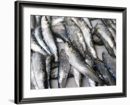 Fresh Sardines for Sale, Essaouira, Morocco, North Africa, Africa-Martin Child-Framed Photographic Print