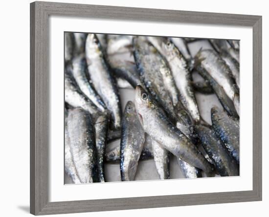 Fresh Sardines for Sale, Essaouira, Morocco, North Africa, Africa-Martin Child-Framed Photographic Print