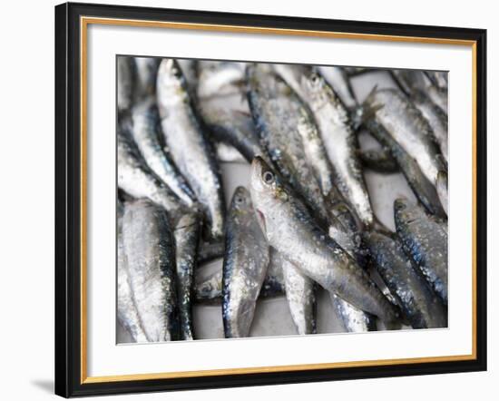 Fresh Sardines for Sale, Essaouira, Morocco, North Africa, Africa-Martin Child-Framed Photographic Print