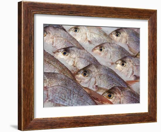 Fresh Seafood Sits on Ice Ready at Sydney's Fish Market at Pyrmont, Australia-Andrew Watson-Framed Photographic Print